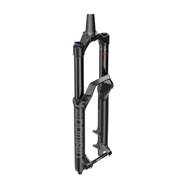 RockShox Domain (alle Modelle)